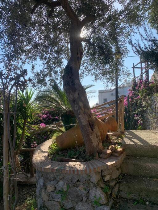 Villa Hermosa Costiera Amalfitana Bagian luar foto