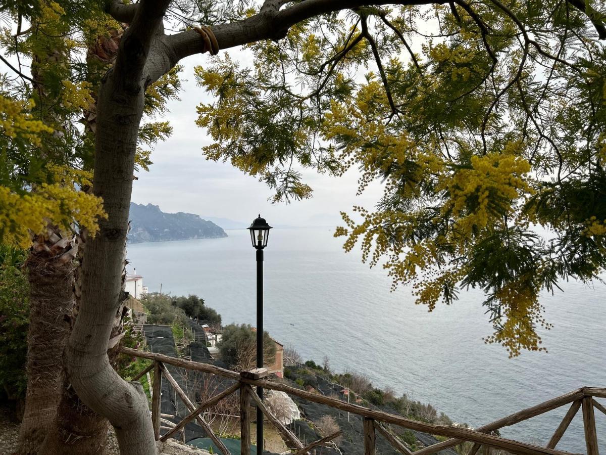 Villa Hermosa Costiera Amalfitana Bagian luar foto